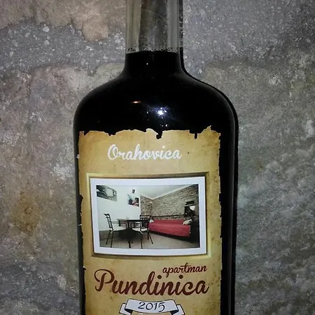 Pundinica *