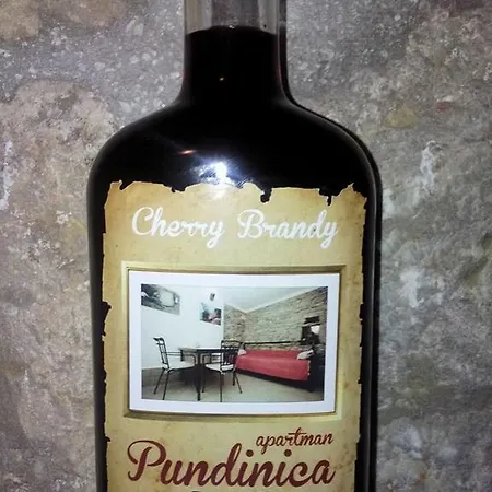 Appartamento Pundinica *
